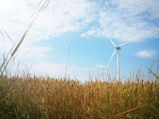 Windmills on one of the wheat fields of Ukraine. Energy saving concept