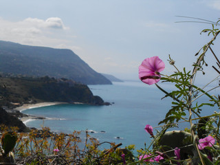 View of amazing coast of south of italy - 277865841