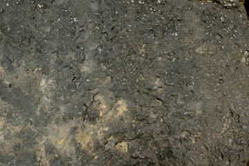 Valencia, Spain: 04.29.2019; The beautiful texture of sea rock