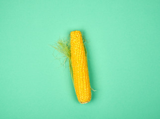 one ripe yellow corn cob on a green background