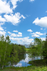 Beautiful forest mountain scenery at lakeside, nature landscape. Trees on foreground with mountains and blue sky on background in sunny day summer time