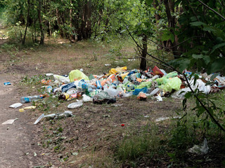 GOMEL, BELARUS - JULY 1, 2019: a pile of plastic garbage in a green recreation area.