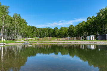 Beautiful forest mountain scenery at lakeside, nature landscape. Trees on foreground with mountains and blue sky on background in sunny day summer time