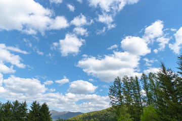 Row of trees on foreground mountains with vast blue sky on background in sunny day in summer time. Nature landscape, beautiful scenic countryside view