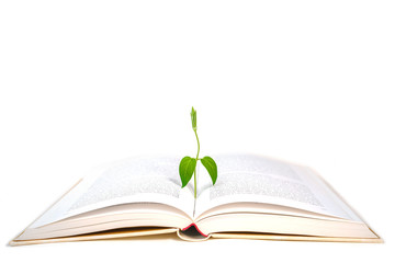 Book and plant on white background, isolated. Back to school, education, knowledge concept.