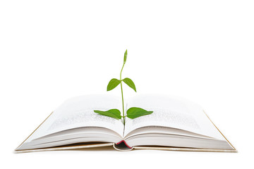 Book and plant on white background, isolated. Back to school, education, knowledge concept.