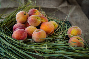 juicy peaches on the hay