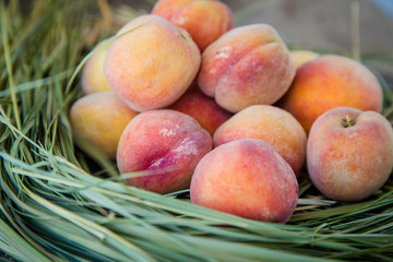 ripe orange peaches on the hay