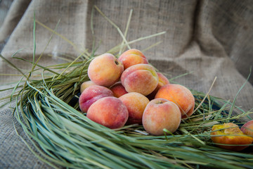 ripe orange peaches on the hay