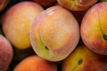 ripe orange peaches on the hay