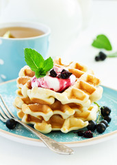 Homemade waffles with a sprig of currants. White background.