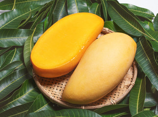 Fresh Mango - Juicy diced fruit in bamboo sieve on green color leaves background. Tropical summer...