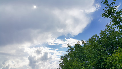 beautiful background of clouds and trees, clearly visible lines of white clouds and blue sky, above the sunbeam