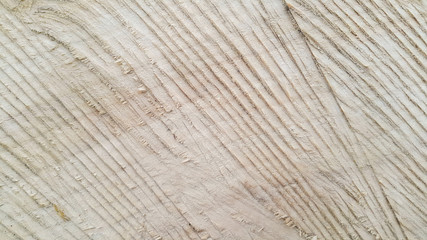 wood texture, the most prominent place of sawing to cut the tree, interesting background