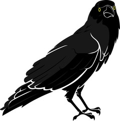 Crow Bird, Isolated Illustration