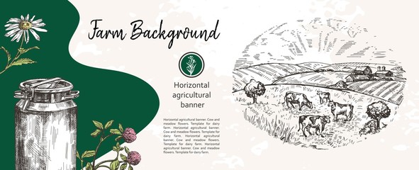 Cows graze on pasture. Agricultural illustration in the style of a sketch. Horizontal agricultural banner.