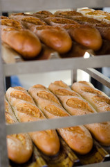 fresh baked baguettes cooling on racks in the bakery