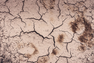 Cracked Dry Clay Ground Background and Texture