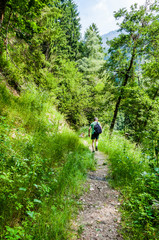 Dorf Tirol, Tirolerweg, Tiroler Kreuz, Wald, Waldweg, Wanderweg, Wanderer, Wasserfall, Vinschgau, Südtirol, Sommer, Italien