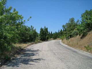 Fototapeta na wymiar A narrow asphalt road on a hot Sunny day past evergreen trees and sun-scorched grass.