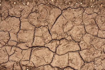 Cracked Dry Clay Ground Background and Texture