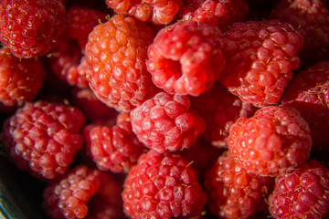 Beautiful, freshly picked garden raspberries in the summer. Summer berries, natural food, healthy dessert.