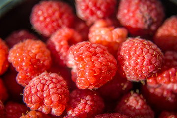 Beautiful, freshly picked garden raspberries in the summer. Summer berries, natural food, healthy dessert.