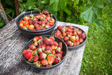 Fototapeta na wymiar Beautiful, freshly picked garden strawberries in a bowl. Healthy vegan, ecological food in summer.