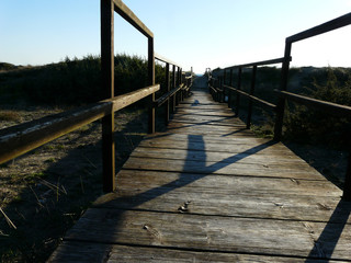 wooden walkway on sand dune