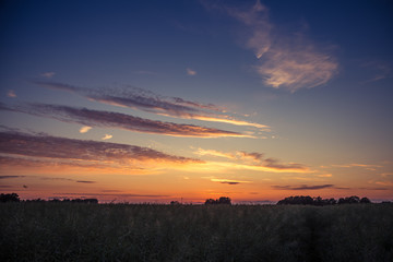 A beautiful, golden sunset over the rapeseed field in Latvia, Northern Europe. Evening light at the countryside.