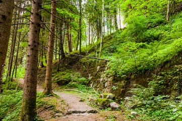 Dorf Tirol, Tirolerweg, Tiroler Kreuz, Wald, Waldweg, Steinmauer, Vinschgau, Südtirol, Sommer, Italien