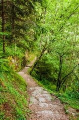 Obraz premium Dorf Tirol, Tirolerweg, Tiroler Kreuz, Wald, Waldweg, Wanderweg, Vinschgau, Südtirol, Sommer, Italien