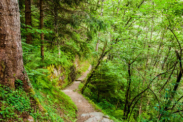 Obraz premium Dorf Tirol, Tirolerweg, Tiroler Kreuz, Wald, Waldweg, Wanderweg, Wasserfall, Vinschgau, Südtirol, Sommer, Italien