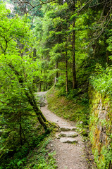 Obraz premium Dorf Tirol, Tirolerweg, Tiroler Kreuz, Wald, Waldweg, Wanderweg, Wasserfall, Steintreppe, Moos, Vinschgau, Südtirol, Sommer, Italien