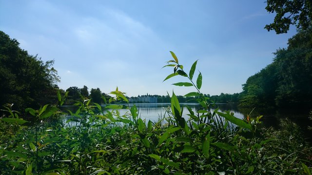 Schaalsee