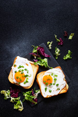 Sandwich with ham, cheese and egg. A traditional French croque-madame sandwich served with lettuce leaves on a black plate. Popular French cafe meal. Black background. Top view. Space for text