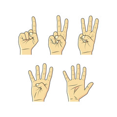 Collection of hand sketches. Fingers and numbers. On a white background. Isolated