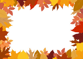 Vector illustration of frame made of colorful autumn leaves on white background