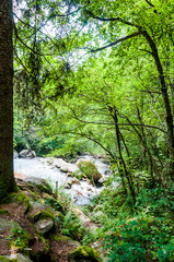 Fototapeta na wymiar Dorf Tirol, Wasserfall, Tiroler Kreuz, Wald, Waldweg, Wanderweg, Vinschgau, Südtirol, Sommer, Italien