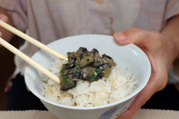 茄子の味噌炒めをご飯に乗せて食べようとしている