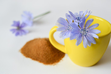Obraz na płótnie Canvas yellow cup with chicory flowers, chicory powder in the background. tea from chicory. Selective focus.