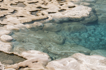 Geyser and hot spring in old faithful basin in Yellowstone National Park in Wyoming