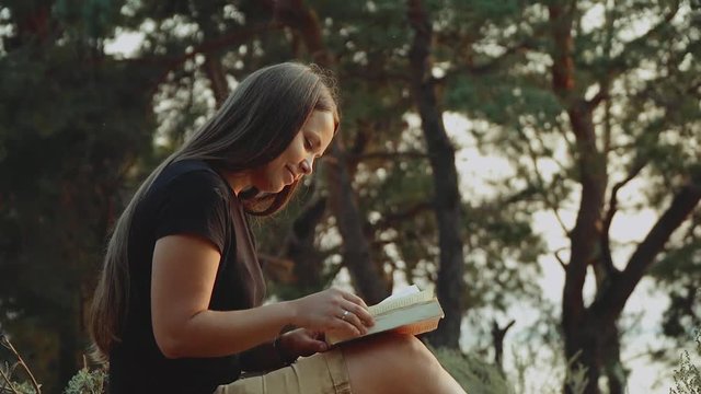 A young female is sitting under the pine tree and reading a book, her mixbreed dog walking around,slow motion.