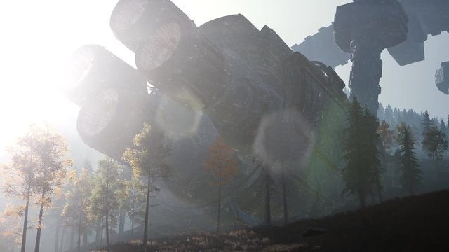 UFO crashed in the forest