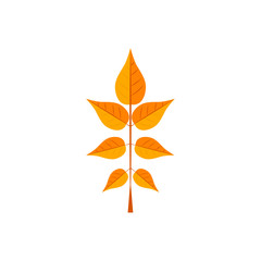 Naklejka premium Leaf of walnut tree for different design. Autumn flat style icon.