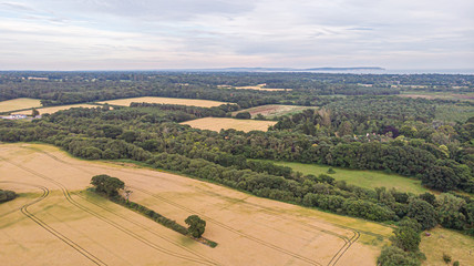 An aerial view of a yellow crop field with traces of tractor, trees and forest under a majestic stormy sky