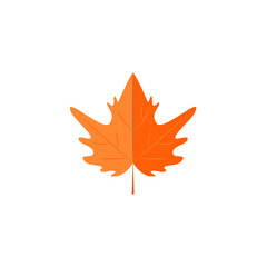 Leaf of maple tree for different design. Autumn flat style icon.