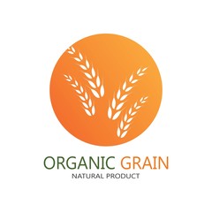 Agriculture wheat Logo Template vector icon design 