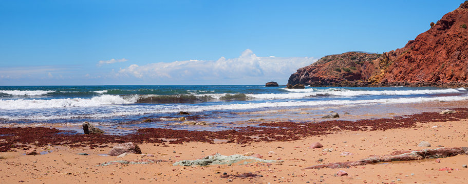 Sandstrand an der Westalgarve Portugal, Verschmutzung durch Braunalgen