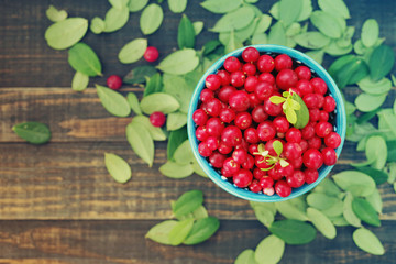 Fresh juicy cowberry in a blue bowl on a wooden surface, soft focus